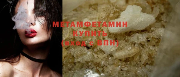 прущие грибы Горно-Алтайск