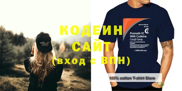 бошки Снежногорск