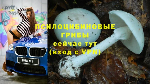 гашик Майский