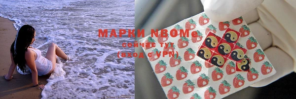 гидропоника Горняк