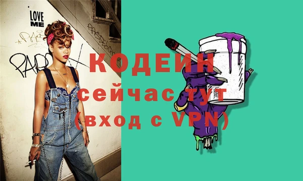 гашик Майский