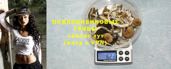 гашик Майский