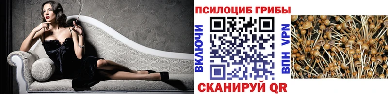 блэк спрут зеркало  Оха  Псилоцибиновые грибы ЛСД 